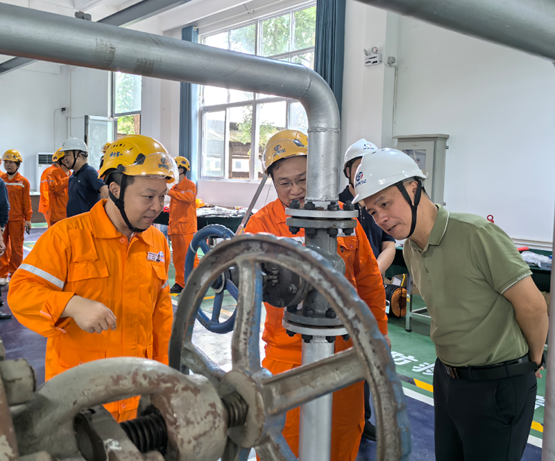  瀘天化集團公司外部董事赴弘旭公司調研指導工作(圖6)